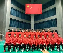 印尼羽毛球队逆转丹麦羽毛球队，斯里坎特惊艳世界的简单介绍