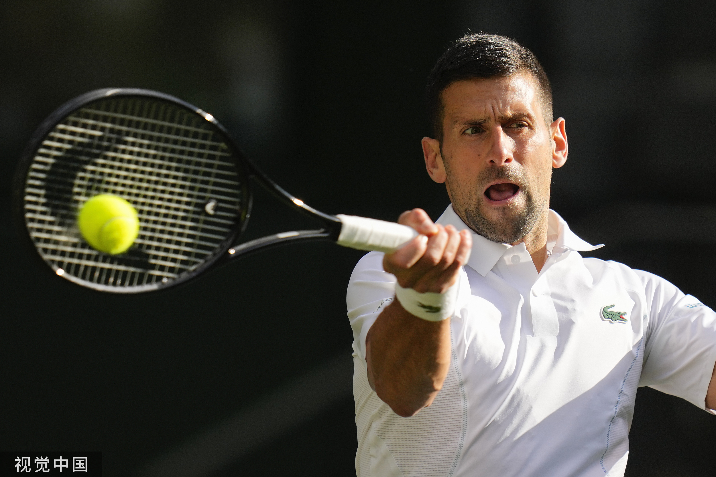 美网完胜温网，德约科维奇状态火热