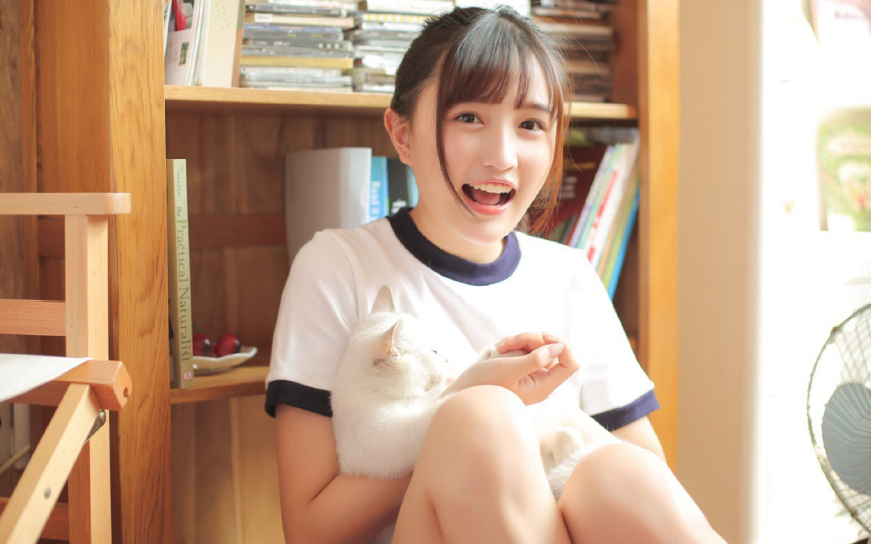 双城记，当英伦风暴席卷巴黎，东方利剑刺破苍穹