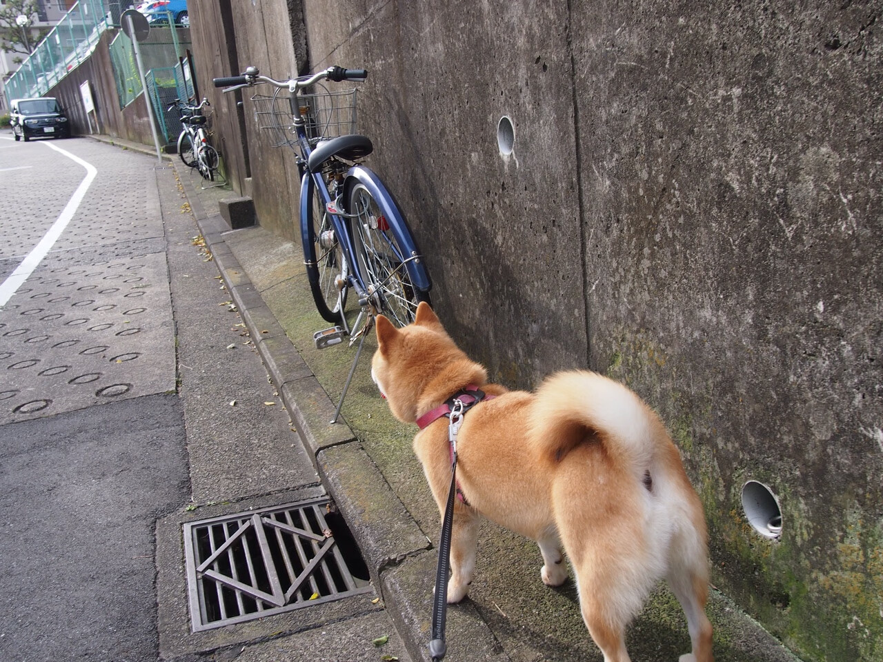 双面足球，碾压的团队与点燃的个人