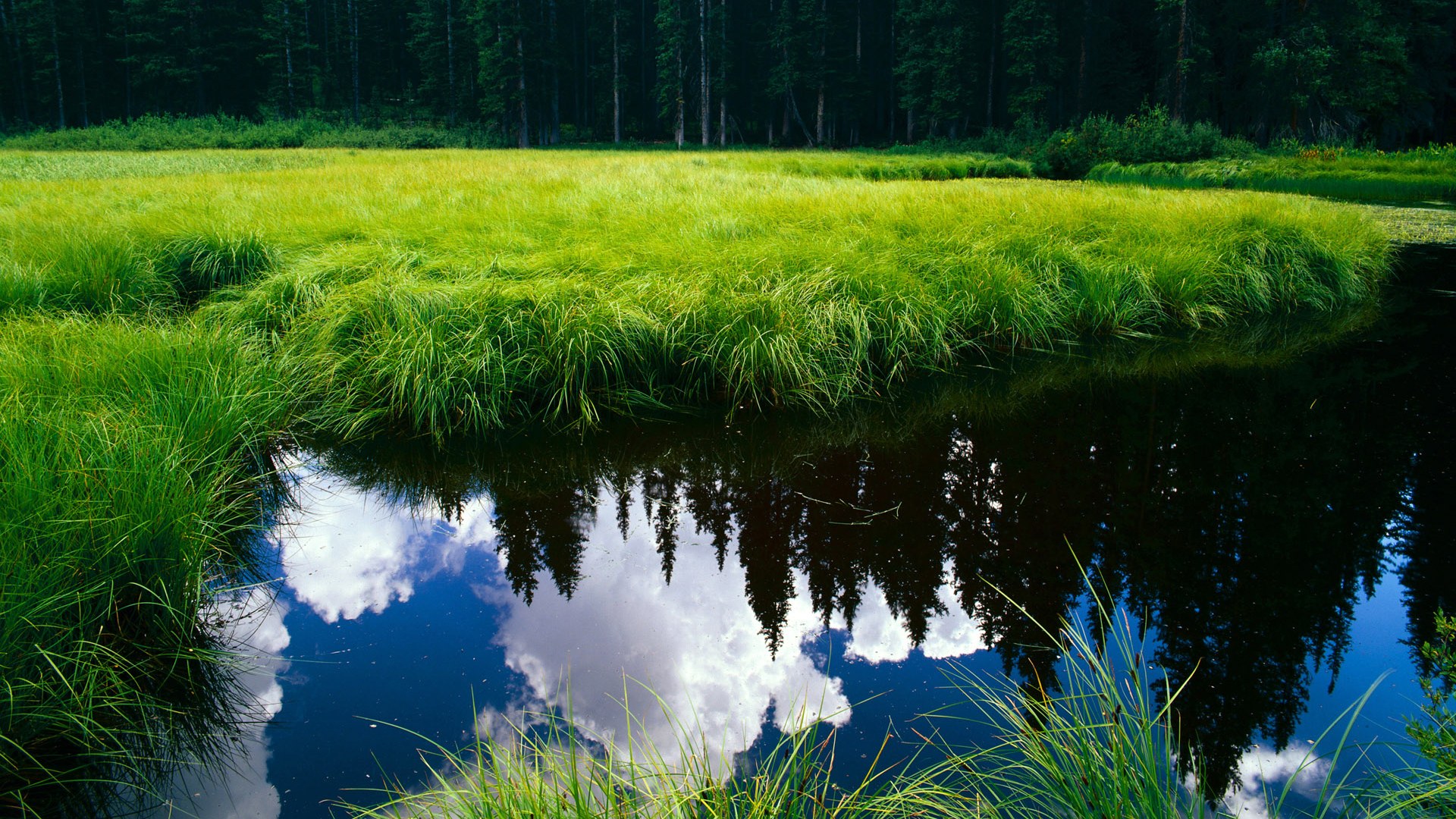 石宇奇破防韩国一单，无奈团队陷双打困局—汤杯半决赛中国队1-3失利解析