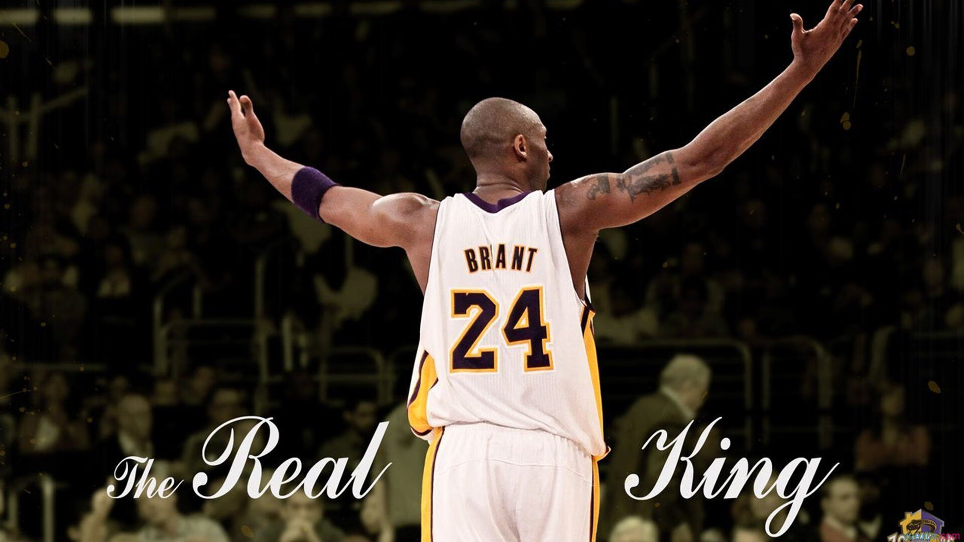 烈焰焚雪，蒂亚戈一箭定江山，南美烈焰熔断北欧寒铁