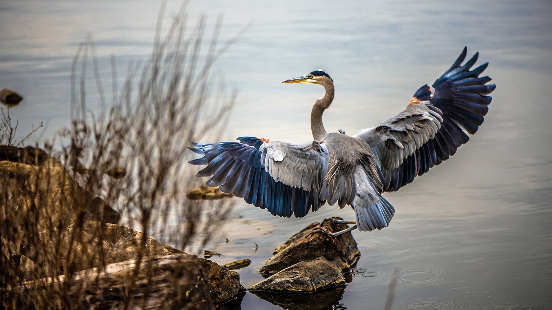 大放异彩！马来西亚队轻取泰国队，郑思维场内外两开花