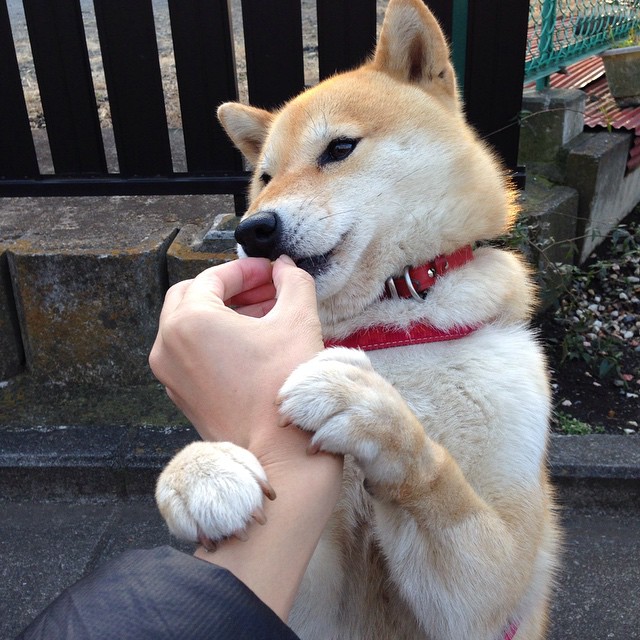同一个夜晚，两场热血，德国队翻盘奥地利，马龙对奥地利人刷新纪录