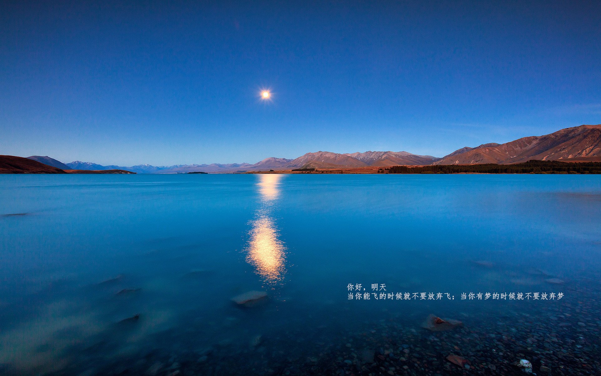 银箭与蓝狮鏖战蒙扎，周冠宇第九名的历史重量