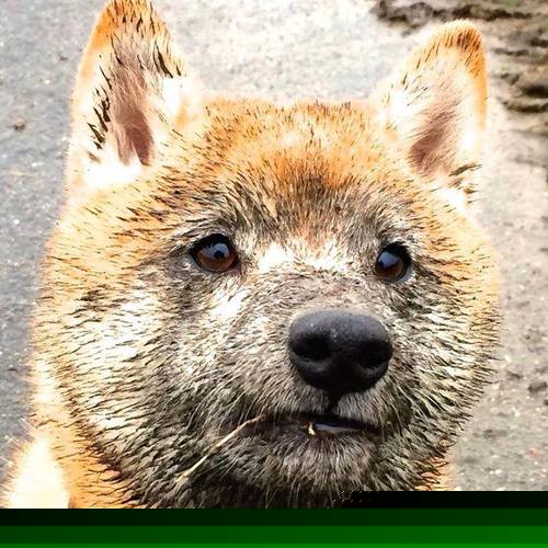 四十九秒逆袭，坎特化身米兰计划外的致命英雄