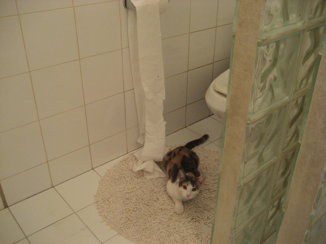 库里，在关键6秒完成运载火箭的发射