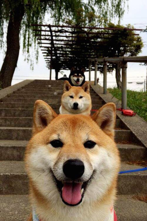 冠军之心,当劳塔罗扼住命运的脉搏,我们听见了强者的心跳