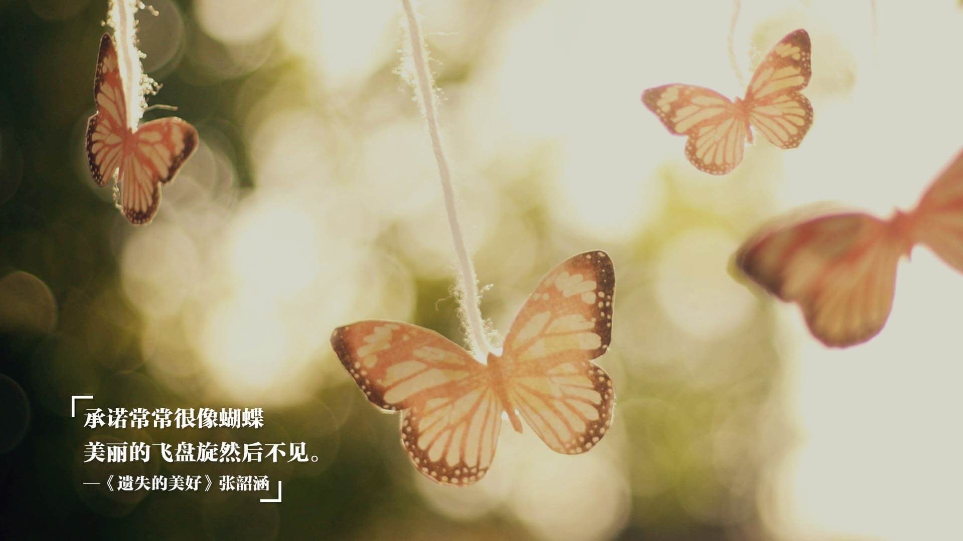 血脉压制！西决生死战变惨案，广厦一波流带走深圳，死神降临时刻