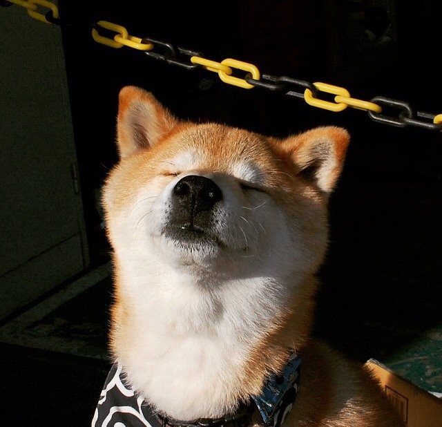 重剑无锋,当低调的淬炼者,决定接管舞台