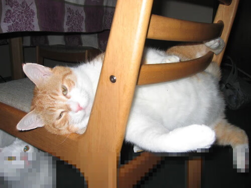 钢铁之翼,阿什拉夫末节风暴,重新定义米兰德比