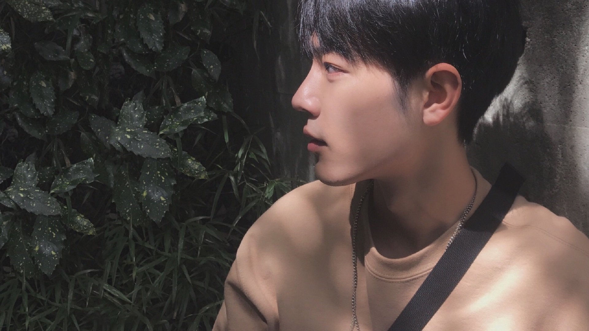 速度与激情，征服与团队，F1揭幕战与NBA焦点战的双重奏