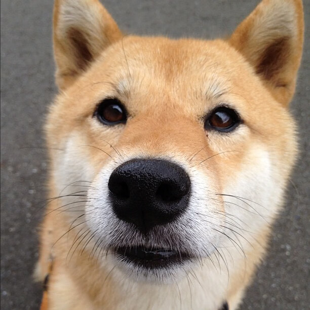 一夫当关！门迪用十指拆解曼联进攻，一场由他个人定义的塞内加尔式比赛