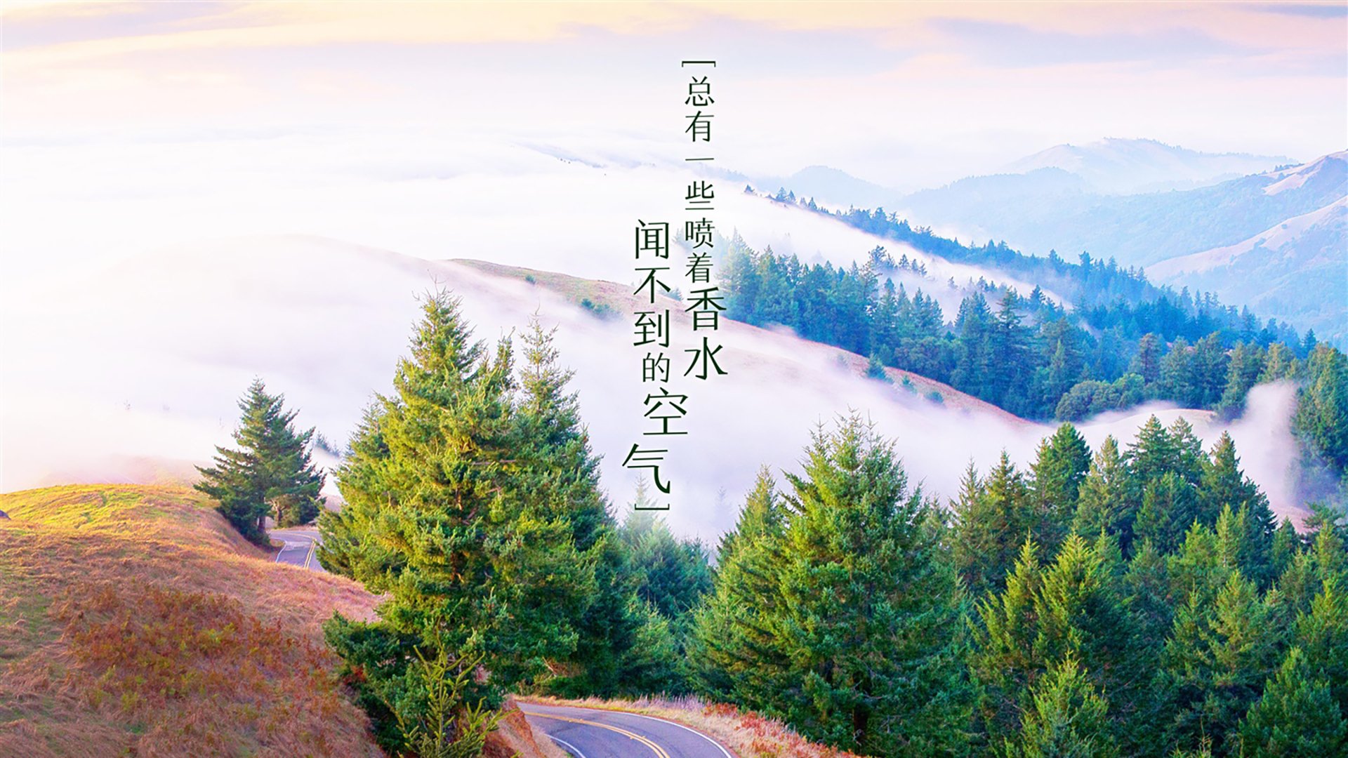蓝衣风暴，2026世界杯G组生死战，印度闪电压制英格兰，范戴克铁血调度引领橙衣军流畅逆转