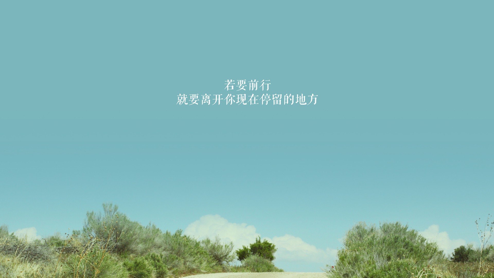 索菲亚之夜,当保加利亚的玫瑰带刺,布罗佐维奇在揭幕战写就唯一的足球史诗